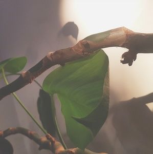 Meet your Posher, Hailey